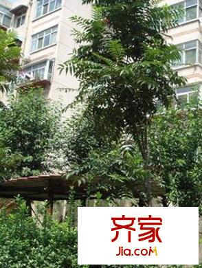 八里洼路單位宿舍外景圖 