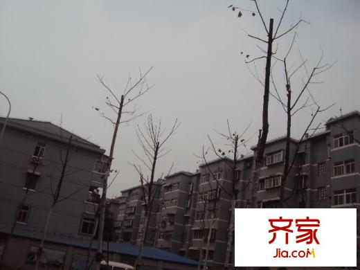 客車廠宿舍外景圖 