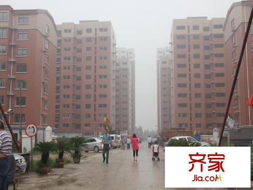 國泰鑫城外景圖買房送菜地活動現(xiàn)場