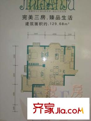 金聯(lián)居 3室 戶型圖