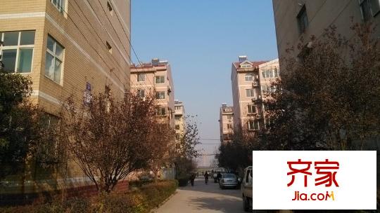 楊北小區(qū)外景圖 