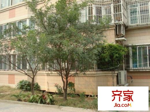 清河北路山化宿舍外景圖