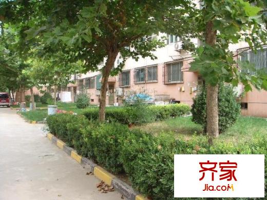 清河北路山化宿舍外景圖