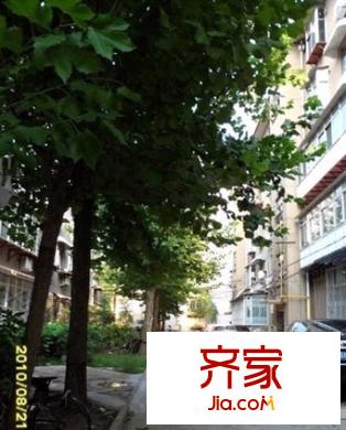 省勞技宿舍外景圖