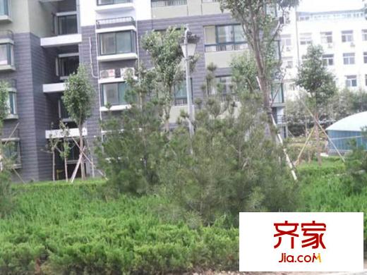 華陽新區(qū)外景圖 