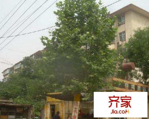 山大北路單位宿舍外景圖