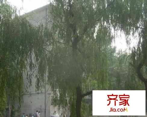 山大北路單位宿舍外景圖