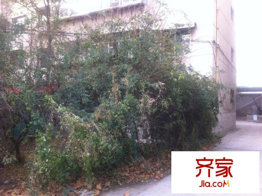 電力公司單位宿舍外景圖 