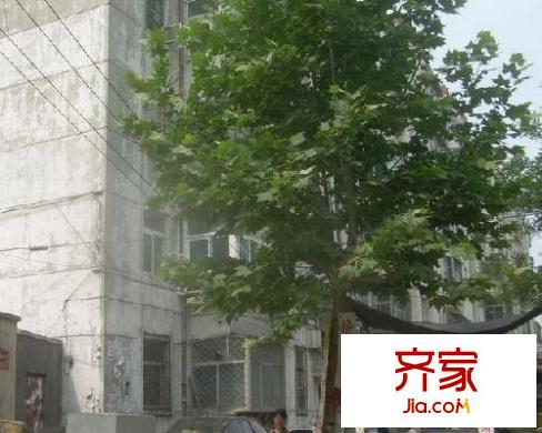 山大北路單位宿舍外景圖