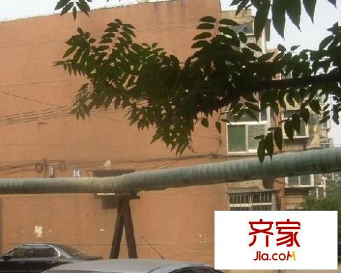 山大北路單位宿舍外景圖
