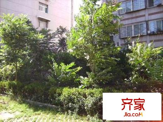 化纖小區(qū)外景圖