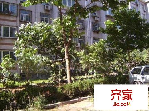 化纖小區(qū)外景圖