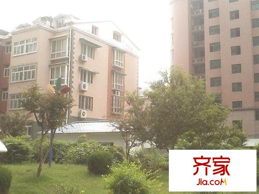 新龍家園外景圖 