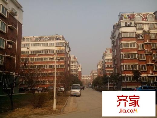 金田苑小區(qū)外景圖 