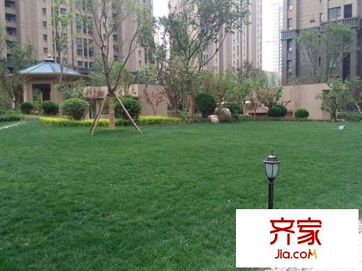 綠地新里盧浮公館外景圖小區(qū)綠化實(shí)景圖（2014-4-23）