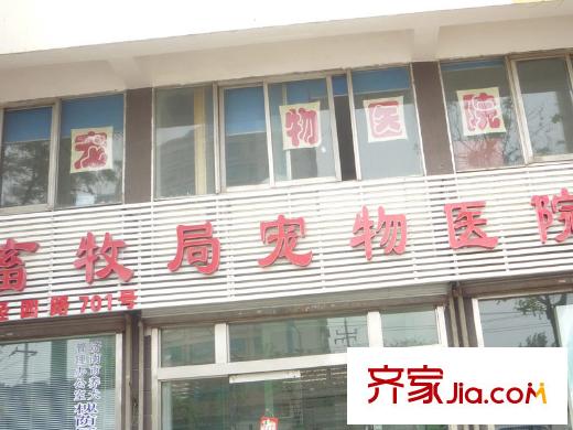綠地新里盧浮公館配套圖寵物醫(yī)院