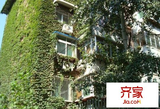 制錦市小區(qū)外景圖