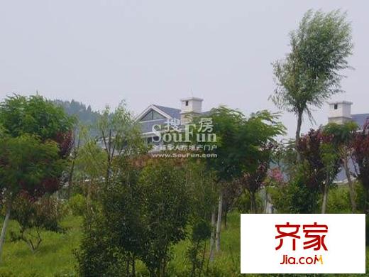 蟠龍山水實(shí)景圖3