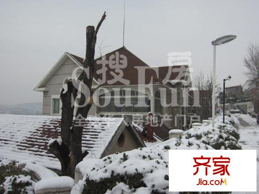 金宮山莊實景圖小區(qū)（2013-1-22）