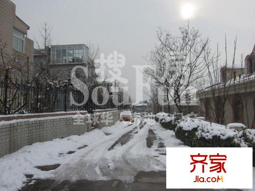金宮山莊實(shí)景圖小區(qū)（2013-1-22）