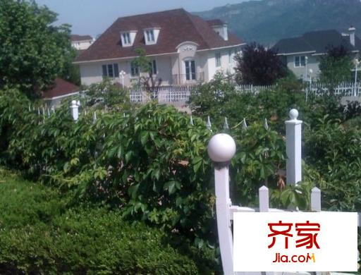 加州花園