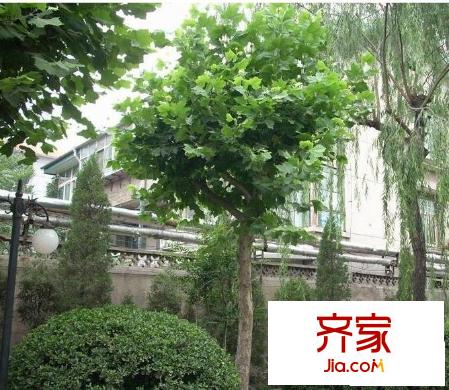 植物園附近宿舍