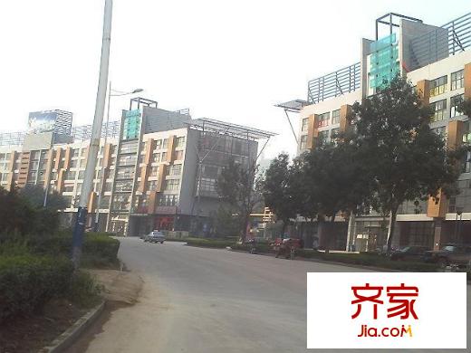 悉尼花鄉(xiāng)外景圖外5