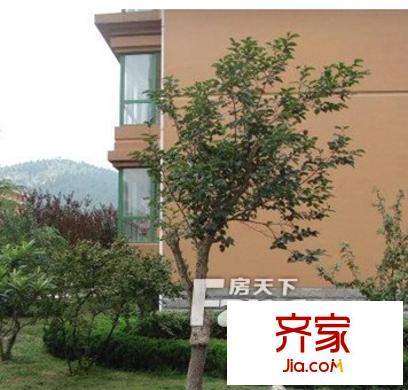 泉景臥龍花園龍昌苑