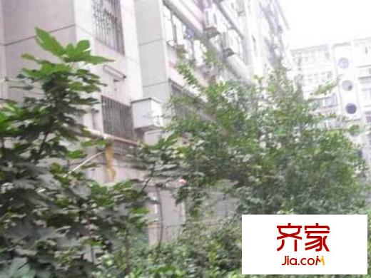 省國(guó)稅宿舍外景圖 