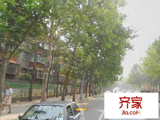 省國(guó)稅宿舍外景圖 