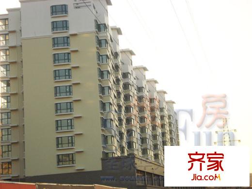 偉東城市精英領(lǐng)域