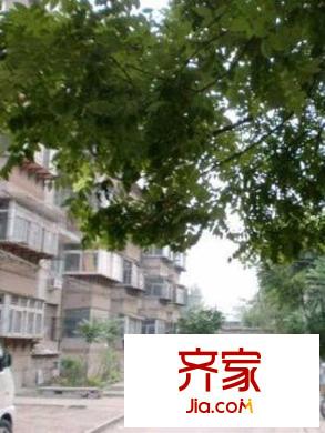 青龍山北路14號院