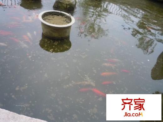 白馬山儲備局宿舍外景圖儲備局宿舍（白馬山) 