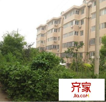 石橋新苑外景圖外景5