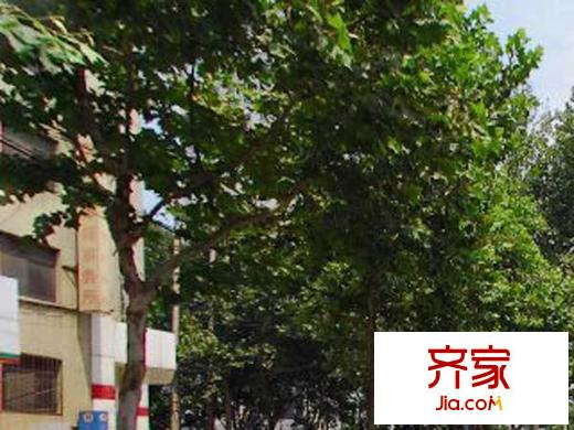 公安局宿舍（順河街）外景圖 