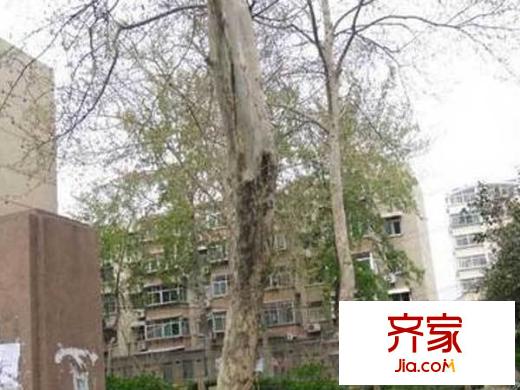 鮑芳苑外景圖 