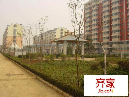 天橋區(qū)教委宿舍外景圖 
