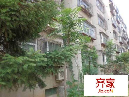 河務(wù)局宿舍(經(jīng)十一路)外景圖 