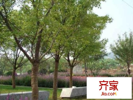 彩石山莊外景圖 