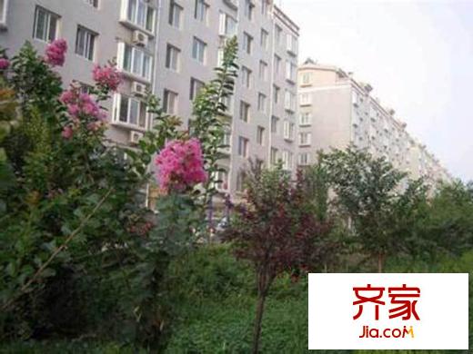 八里橋城建單位宿舍外景圖 
