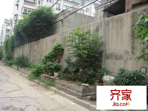 天橋區(qū)建委宿舍外景圖