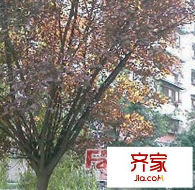 省委黨校宿舍外景圖 
