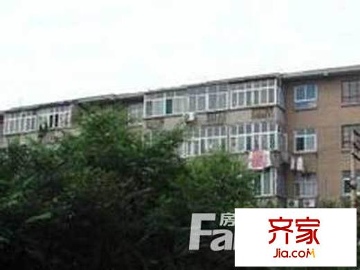 河務(wù)局宿舍(經(jīng)十一路)外景圖 