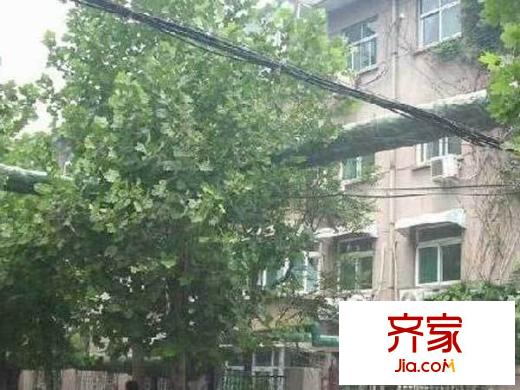 濟(jì)南四建宿舍外景圖 