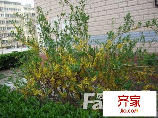 特殊教育教師宿舍