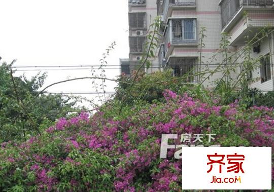 省委黨校宿舍外景圖 