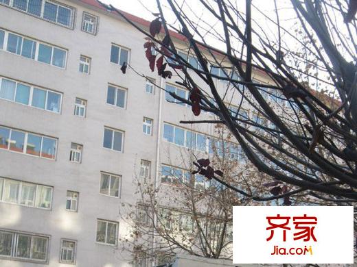 茂嶺山路糧食局宿舍外景圖 