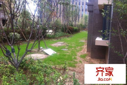 茗筑一品社區(qū)園林（2015-07-15）