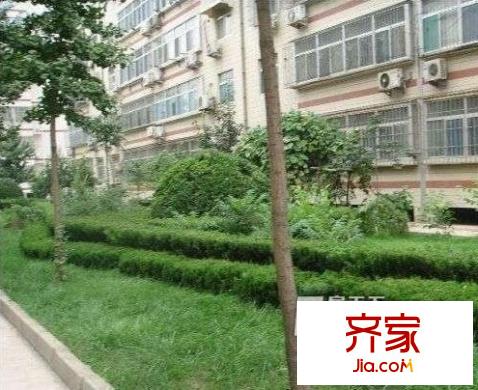 四院宿舍外景圖
