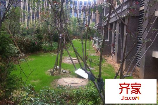 茗筑一品項(xiàng)目進(jìn)度（2015-07-15）